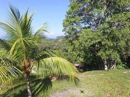 2 Schlafzimmer Haus zu verkaufen in Osa, Puntarenas, Osa