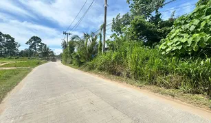 N/A Grundstück zu verkaufen in Maenam, Surat Thani 