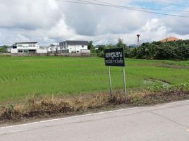  Grundstück zu verkaufen in Hang Dong, Chiang Mai, Nam Phrae, Hang Dong, Chiang Mai, Thailand