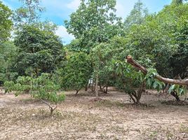  Grundstück zu verkaufen in Pattaya, Chon Buri, Nong Pla Lai