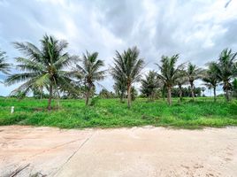  Grundstück zu verkaufen in Hua Hin, Prachuap Khiri Khan, Thap Tai