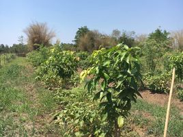  Grundstück zu verkaufen in Wichian Buri, Phetchabun, Phu Toei, Wichian Buri