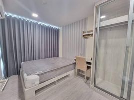 1 Bedroom Condo for rent at Atmoz Tropicana Bangna, Bang Na, Bang Na, Bangkok