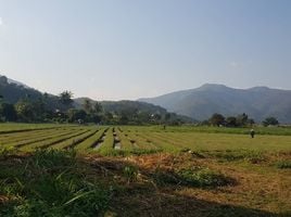  Grundstück zu verkaufen in Mae Wang, Chiang Mai, Thung Pi