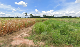 Земельный участок, N/A на продажу в Bueng Phra, Phitsanulok 