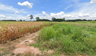 N/A Terrain a vendre à Bueng Phra, Phitsanulok 