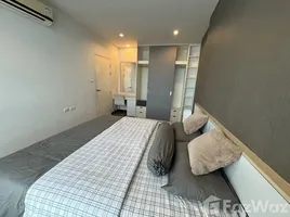 1 Bedroom Condo for rent at The Bell Condominium, Chalong, Phuket Town