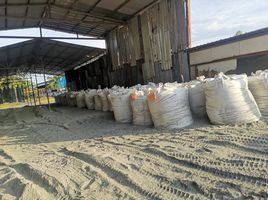  Warehouse for rent in Surat Thani, Tha Khoei, Tha Chang, Surat Thani