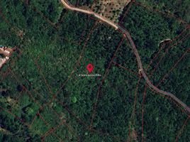  Land for sale in Maenam, Koh Samui, Maenam