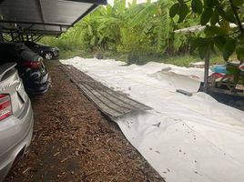 3 Schlafzimmer Haus zu verkaufen in Thung Khru, Bangkok, Bang Mot