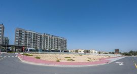 Доступные квартиры в Al Warsan 1