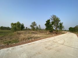  Grundstück zu verkaufen in Nong Mamong, Chai Nat, Saphan Hin
