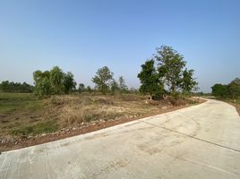  Land for sale in Thailand, Saphan Hin, Nong Mamong, Chai Nat, Thailand