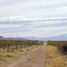  Land for sale in San Rafael, Mendoza, San Rafael