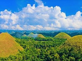  Grundstück zu verkaufen im Camella Bohol, Tagbilaran City, Bohol