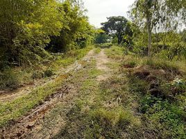  Grundstück zu verkaufen in Mueang Ratchaburi, Ratchaburi, Ko Phlapphla