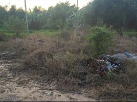  Land for sale in Tha Pho, Mueang Phitsanulok, Tha Pho