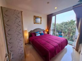 Studio Condo for rent at The Riviera Wongamat, Na Kluea, Pattaya