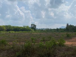  Land for sale in Takua Thung, Phangnga, Lo Yung, Takua Thung