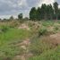  Land for sale in Kamphaeng Phet, Wang Chaphlu, Khanu Woralaksaburi, Kamphaeng Phet