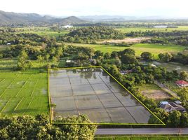  Grundstück zu verkaufen in San Kamphaeng, Chiang Mai, Rong Wua Daeng