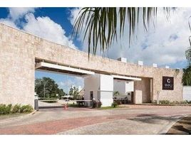 1 Schlafzimmer Wohnung zu verkaufen im Playa Del Carmen, Cozumel, Quintana Roo