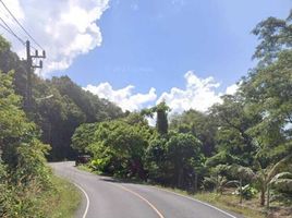  Land for sale in Phuket, Kamala, Kathu, Phuket