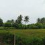  Land for sale in Ban Pong, Ratchaburi, Nakhon Chum, Ban Pong