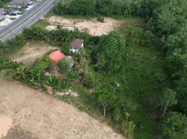 ขายบ้านเดี่ยว 2 ห้องนอน ใน ท้ายเหมือง พังงา, ทุ่งมะพร้าว