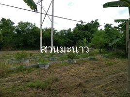  Grundstück zu verkaufen in Sop Prap, Lampang, Sop Prap