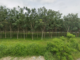  Land for sale in AsiaVillas, Thep Krasattri, Thalang, Phuket, Thailand
