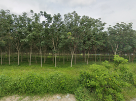  Land for sale in Thep Krasattri, Thalang, Thep Krasattri