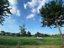  Grundstück zu verkaufen im Karuehaad Tayard Village, Ban Mai, Pak Kret, Nonthaburi