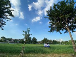  Land for sale at Karuehaad Tayard Village, Ban Mai, Pak Kret