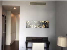 2 Bedroom Condo for rent at Quattro By Sansiri, Khlong Tan Nuea