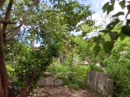  Land for sale in Lingayen, Pangasinan, Lingayen