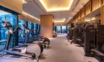 Общий тренажёрный зал at The Ritz-Carlton Residences At MahaNakhon