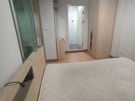 คอนโด 1 ห้องนอน ให้เช่า ในโครงการ Aspire Rama 4, พระโขนง