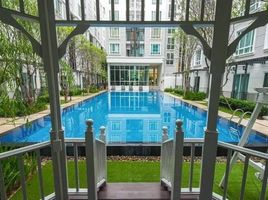1 Bedroom Apartment for rent at The Garden Condo, Talat, Mueang Surat Thani, Surat Thani