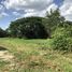  Land for sale in Thailand, Khao Sam Yot, Mueang Lop Buri, Lop Buri, Thailand