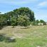  Land for sale in Anton, Cocle, Rio Hato, Anton