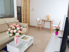 1 Bedroom Apartment for rent at Hinoki Condo Chiangmai, Chang Phueak