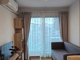 คอนโด 1 ห้องนอน ให้เช่า ในโครงการ The Excel Hideaway Sukhumvit 50, พระโขนง