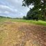  Land for sale in Brazil, Silves, Amazonas, Brazil