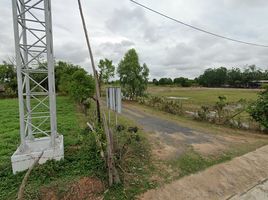  Land for sale in Sikhoraphum, Surin, Nong Lek, Sikhoraphum