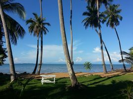  Grundstück zu verkaufen in Ko Chang, Trat, Ko Chang, Ko Chang