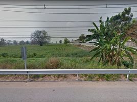 Land for sale in Nakhon Ratchasima, Chok Chai, Chok Chai, Nakhon Ratchasima