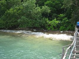  Grundstück zu verkaufen in Ko Yao, Phangnga, Ko Yao Yai, Ko Yao, Phangnga