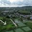  Land for sale in Phuket, Thep Krasattri, Thalang, Phuket