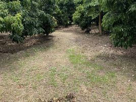  Land for sale in Lamphun, Tha Tum, Pa Sang, Lamphun